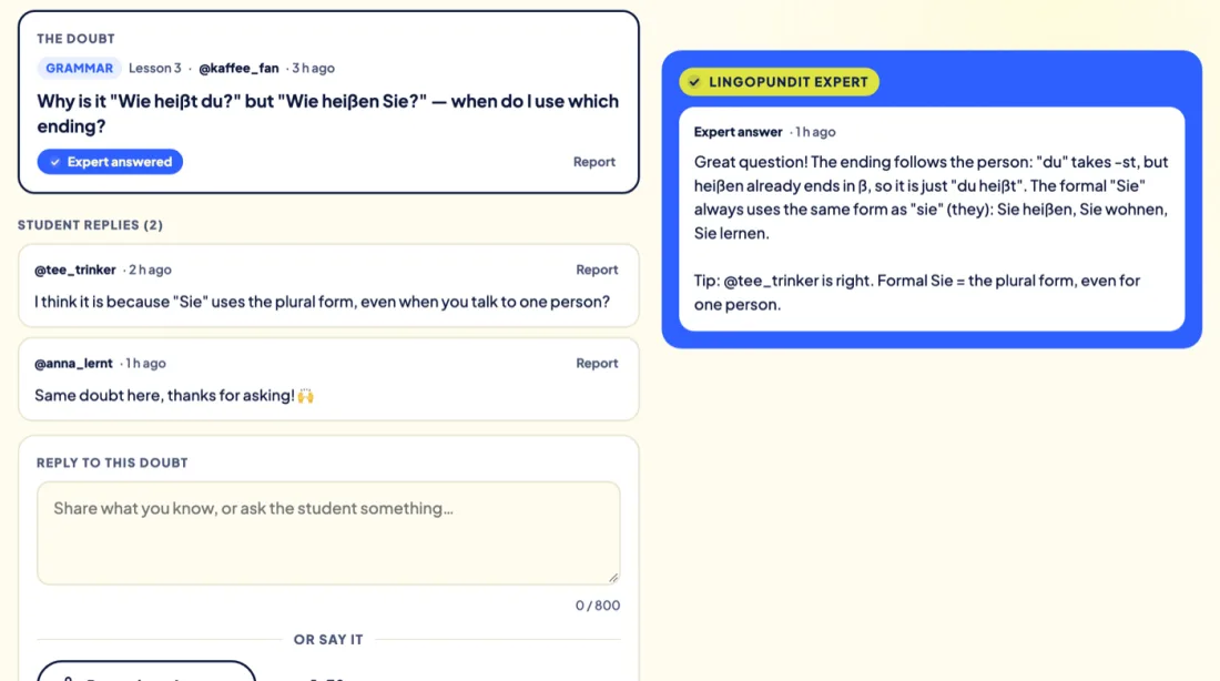 A student's doubt with the Lingopundit Expert's answer